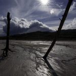 20624032798_cda47eef47_k