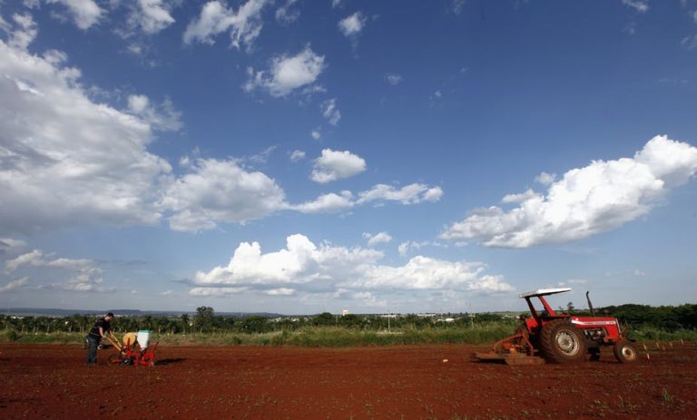 Agriculture training in South Africa badly needs an overhaul