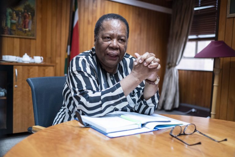 Pandor to guide University of Pretoria and help with research