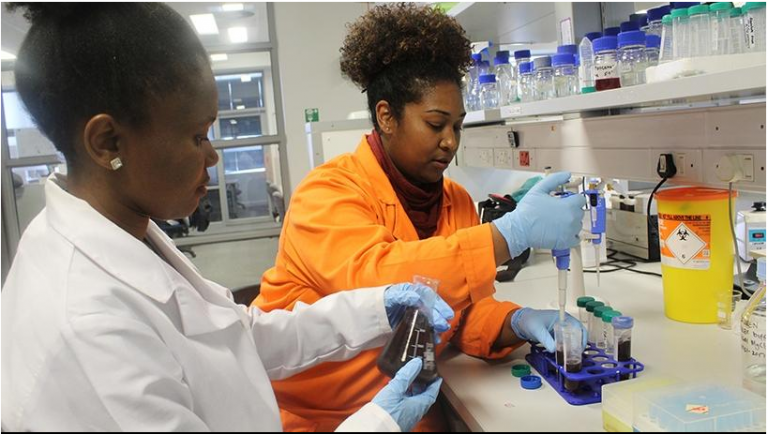 Biotech incubator seeks start-ups solving African challenges
