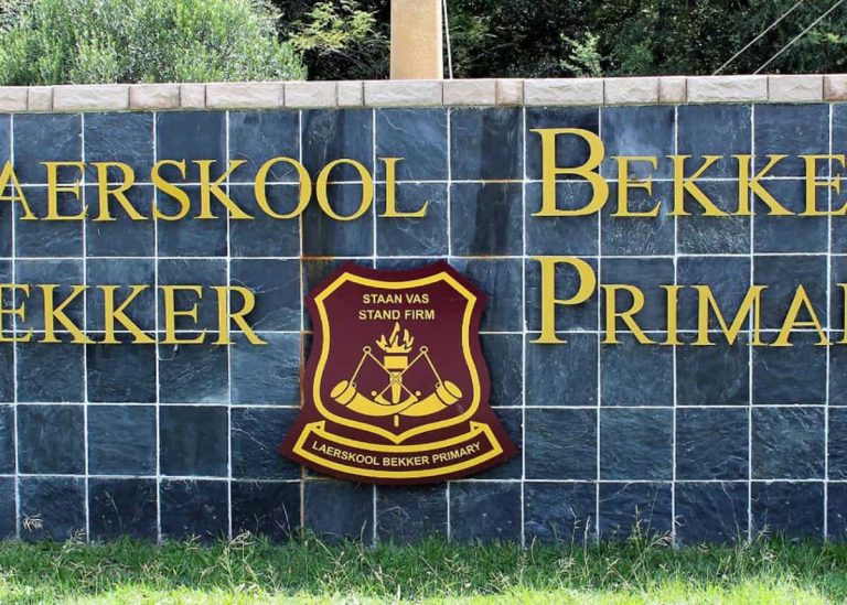 Gauteng EFF Wants Provincial Education Laws Reviewed Following Learner Drowning Deaths