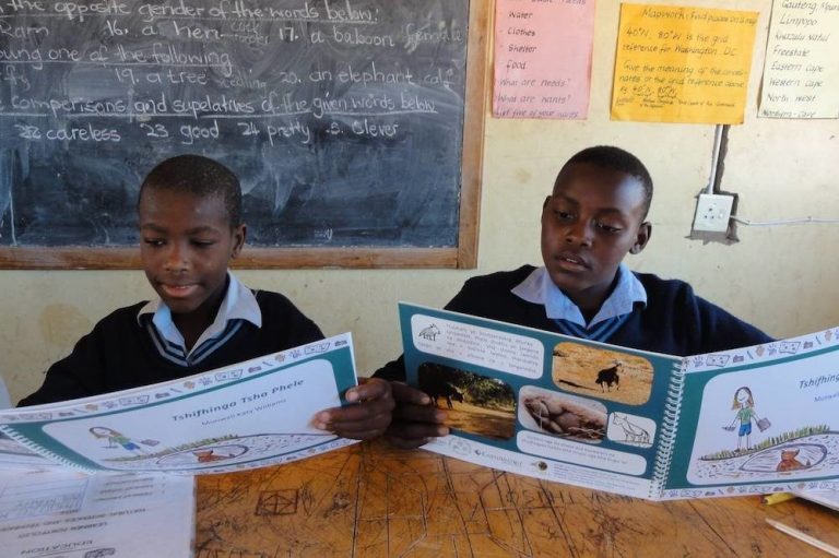 Policy Options To Crack The Mother Tongue Versus English Riddle In South African Schools