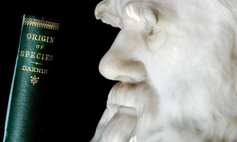 Charles Darwin Notebooks ‘Stolen’ From Cambridge University