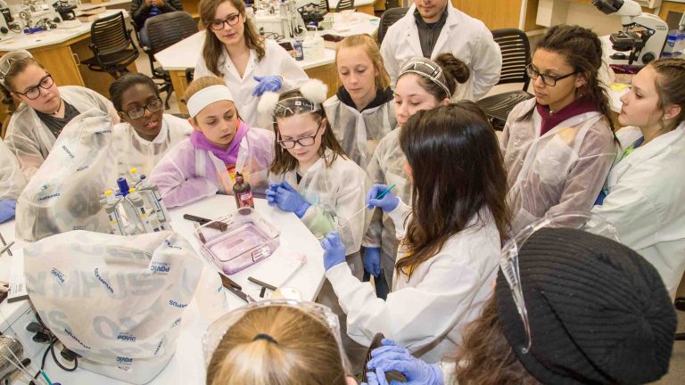 Gender Bias Stymies Women’s Careers In STEM — United Nations