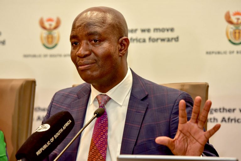 Covid Or No Covid, Basic Education Sector Is Better Prepared For 2021 Academic Year – Mweli