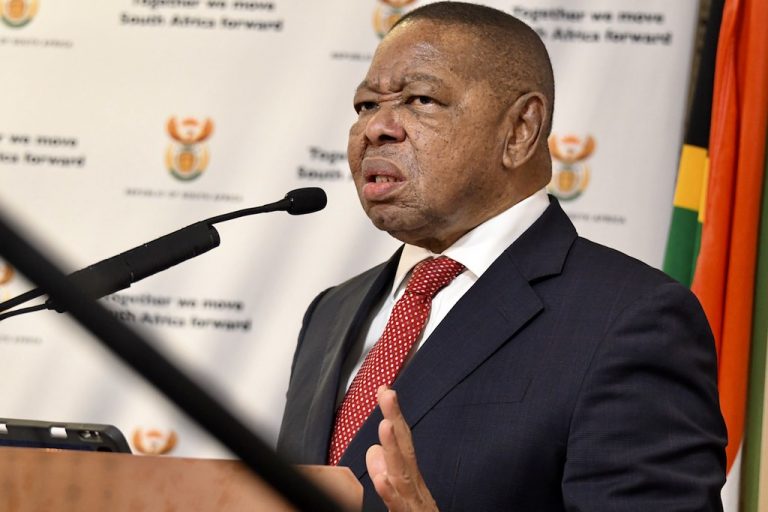 Nzimande Slammed For Saying Zuma’s Announcement Of Free Higher Education Caused Problems For NSFAS