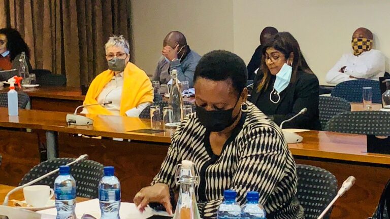 New bill proposes language changes and abolishes initiations at schools in South Africa