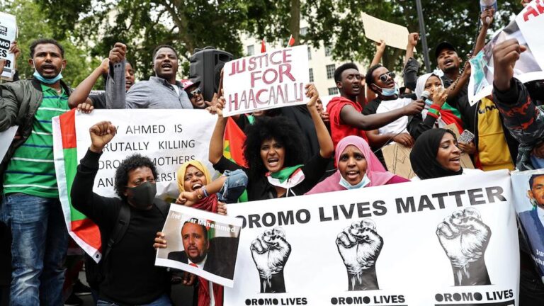 University students protest against Ethiopians massacre in Oromia