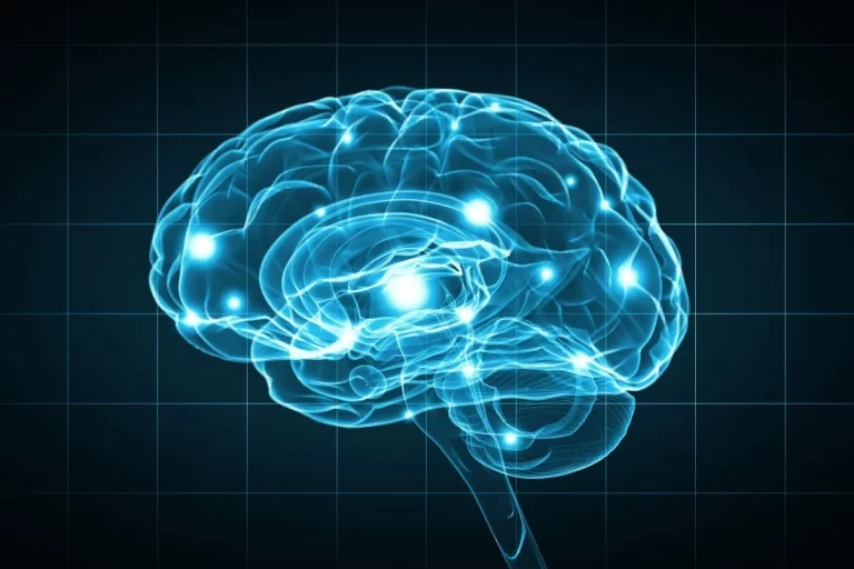 Human brain gene improves learning and memory skills of mice, study finds