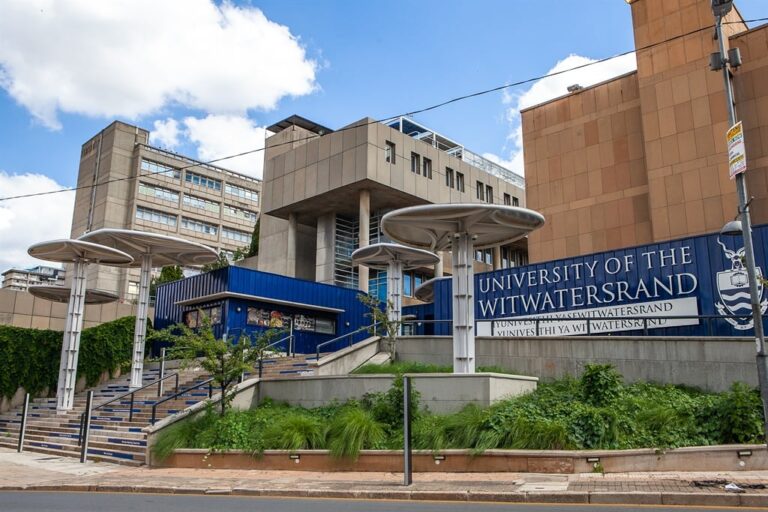 Higher education committee chastises Wits for failing to adequately prioritise students