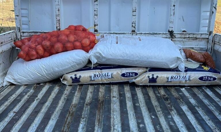 Chiloane welcomes arrest of suspects allegedly found with stolen school food