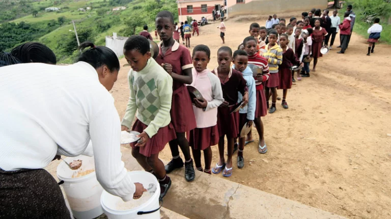 Pacina Retail’s school nutrition tender terminated – KZN Education