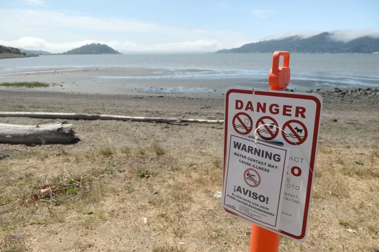 The science of beach water amid sewage pollution