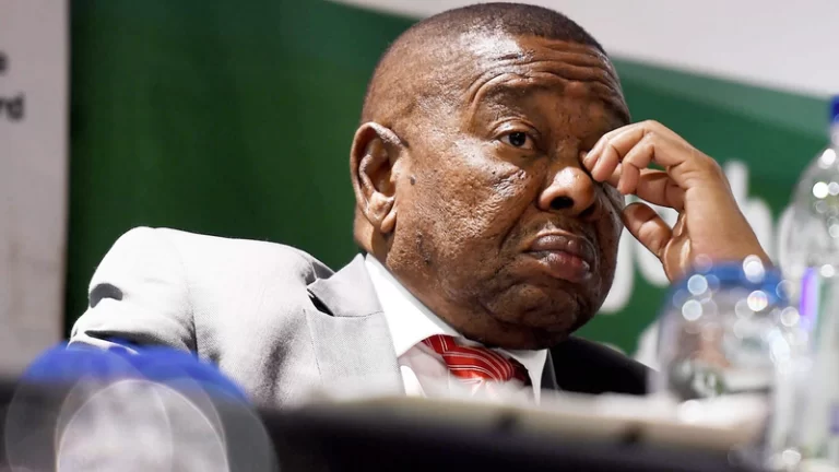 Nzimande and NSFAS a no-show in Portfolio Committee meeting