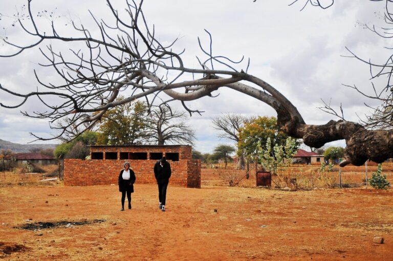 The Year of Education: Shaping an African Fit for the 21st Century