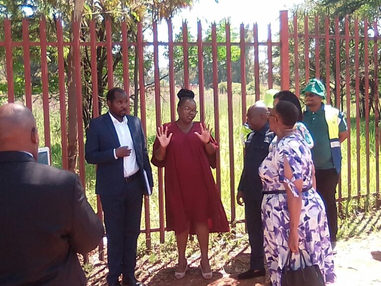 Gauteng Transport MEC gives motivation talk to Petit High School Pupils in Benoni