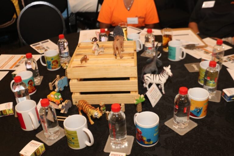 DBE and partners host 10th South African National Conference on Play-Based Learning