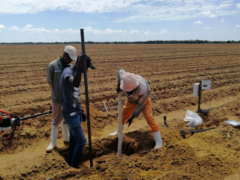 New app will tell SA potato farmers exactly when, where and how much to water