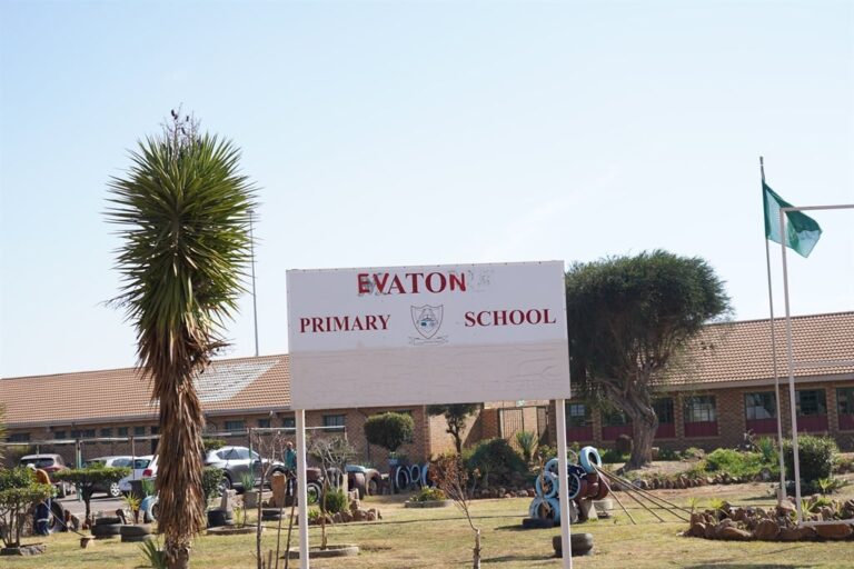 Deaths of four Ekurhuleni Pupils including 3 Siblings, shocks MEC