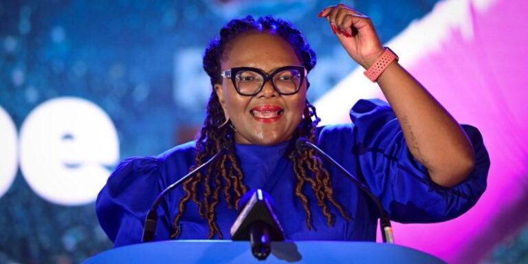 Basic Education Minister meets international partners on SA’s education system