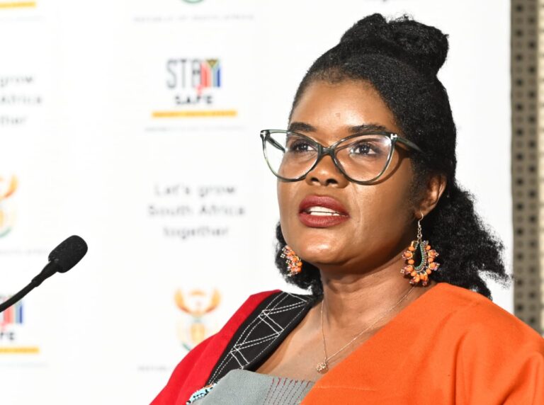 Higher education minister postpones NSFAS online application launch