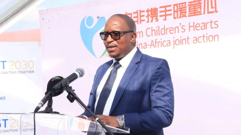 Chiloane to introduce legal team probing Tembisa learner’s death