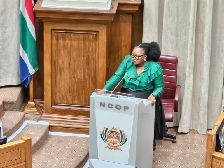 SA still has a long way to go on school infrastructure: Gwarube