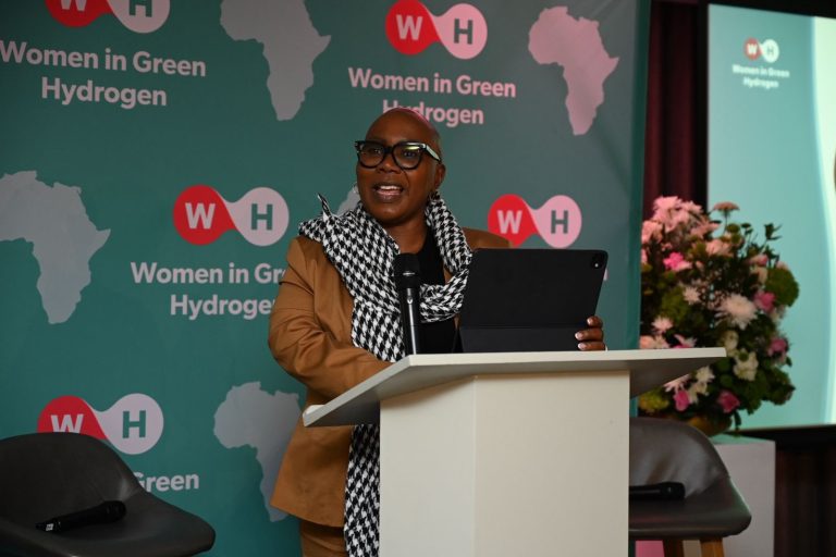 South Africa, Nigeria reaffirm science, tech, and innovation cooperation