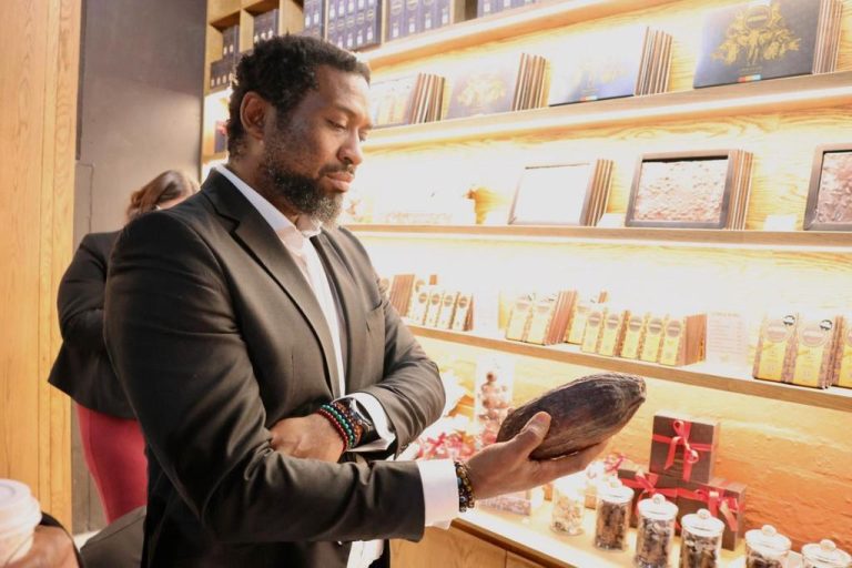 Manamela champions SMME-centered skills investment in SA