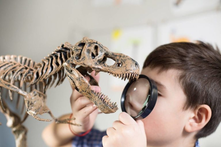 Fun with fossils: South African kids learn a whole lot more about human evolution from museum workshops