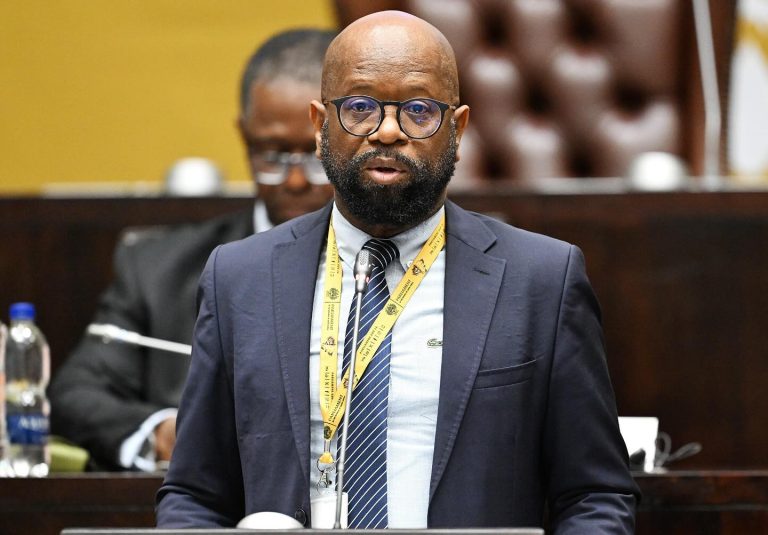 Parliament warns of possible Operation Dudula disruptions at SA schools