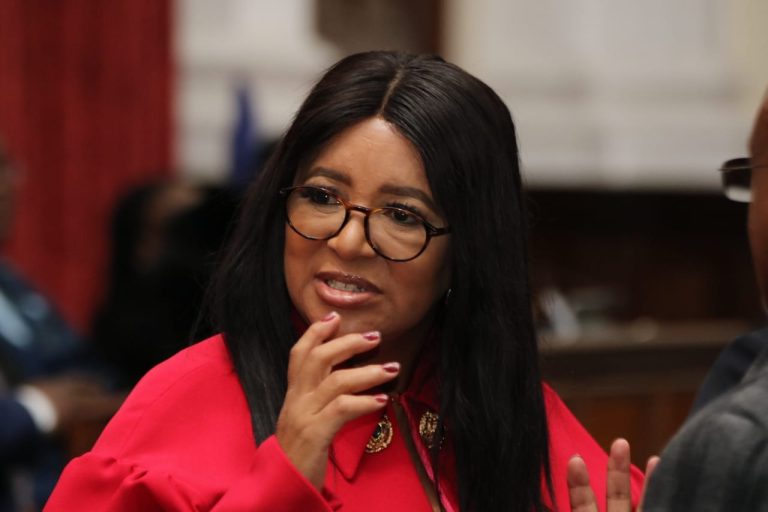 DA calls on Free State Premier to intervene as Metsimaholo school infrastructure crisis deepens