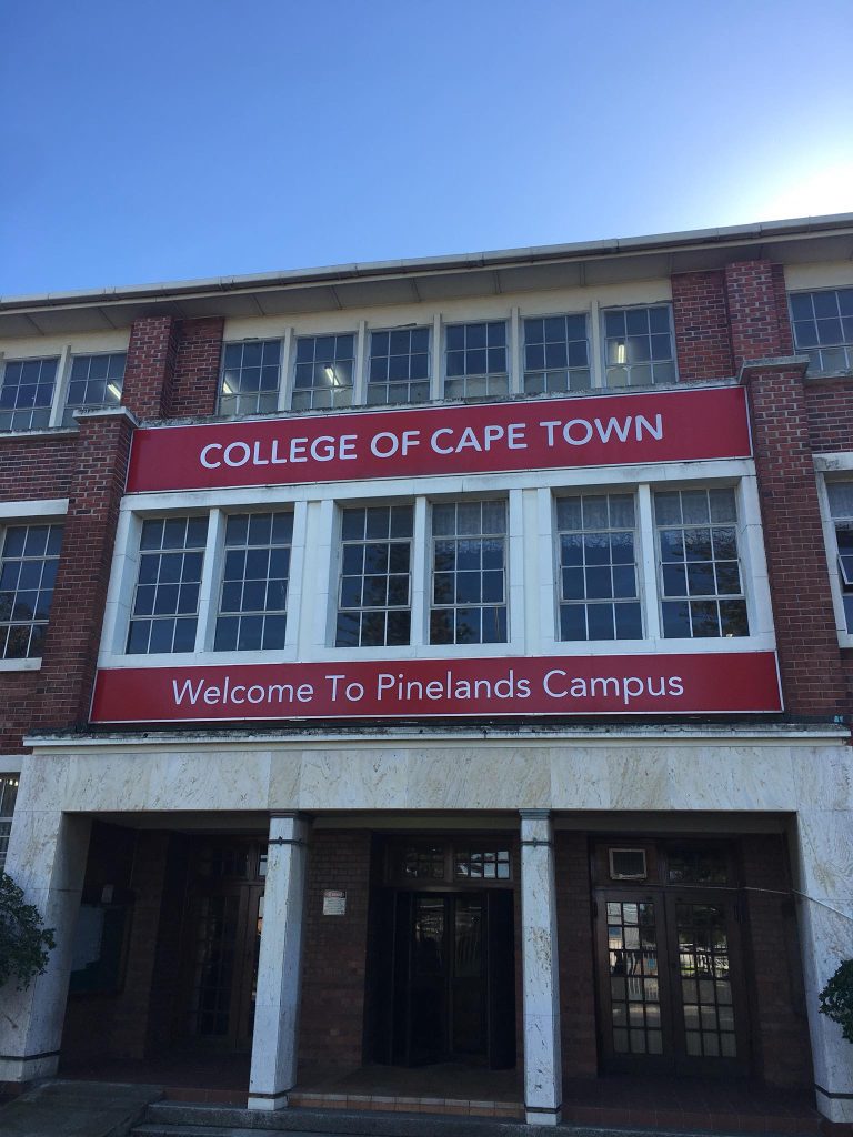 Manamela appoints governance support team to stabilise College of Cape Town