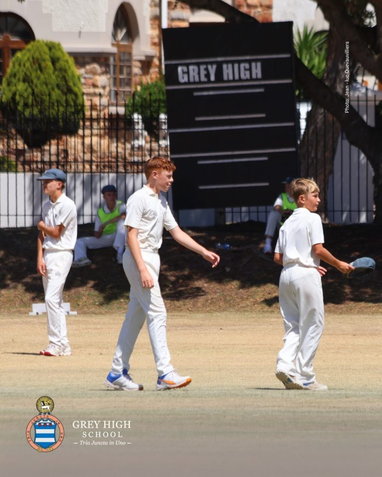 Grey High end Grey Festival with perfect win record