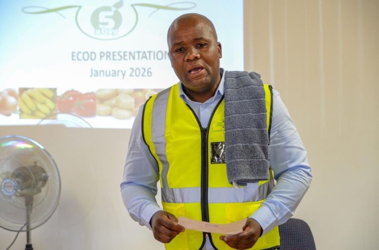 Applications open for 2026 Durban Fashion Fair mentorship programme