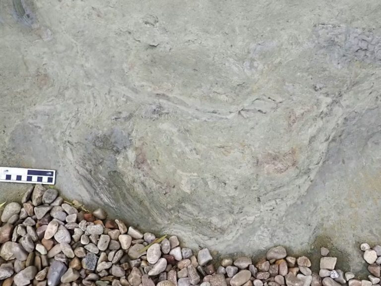 Fossil hunters find a new dinosaur track site on South Africa’s coast – the youngest so far