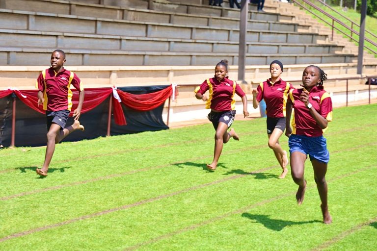 Weekend Roundup | ‘Intimidation culture’ choking Services SETA, Gauteng launches specialised sports school, and more