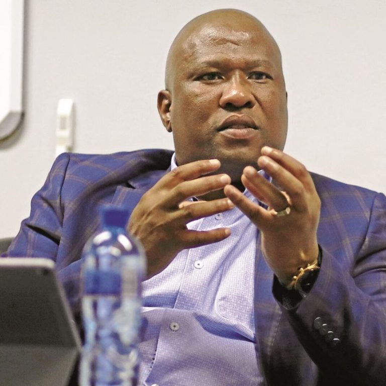 Judgment reserved in Mabuyane-Malema defamation case over Fort Hare claims