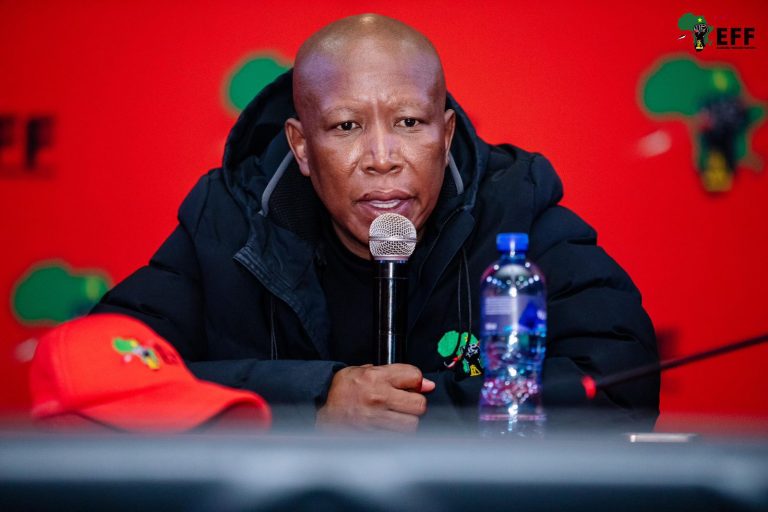 Malema tells EFF youth to drive voter registration