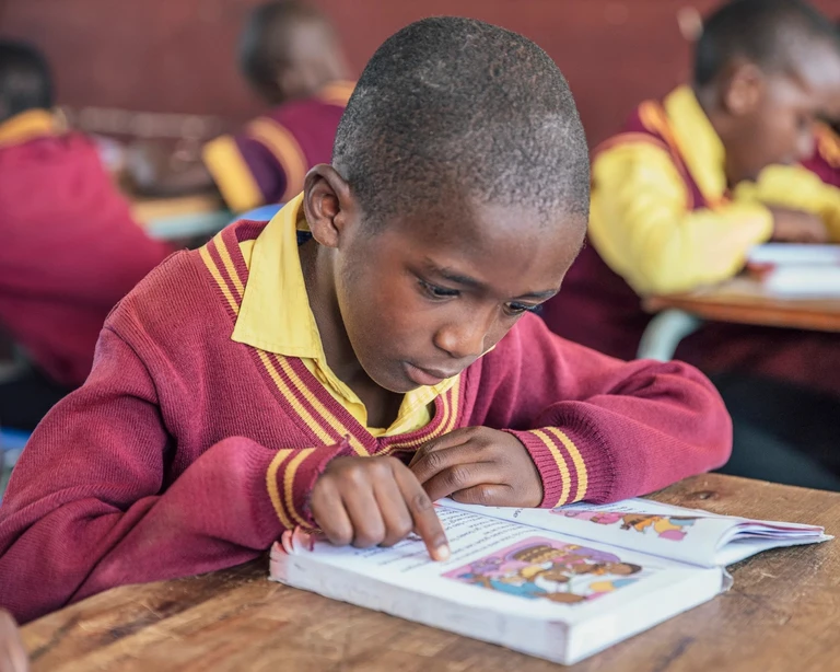 South Africa’s reading crisis demands urgent intervention, committee hears